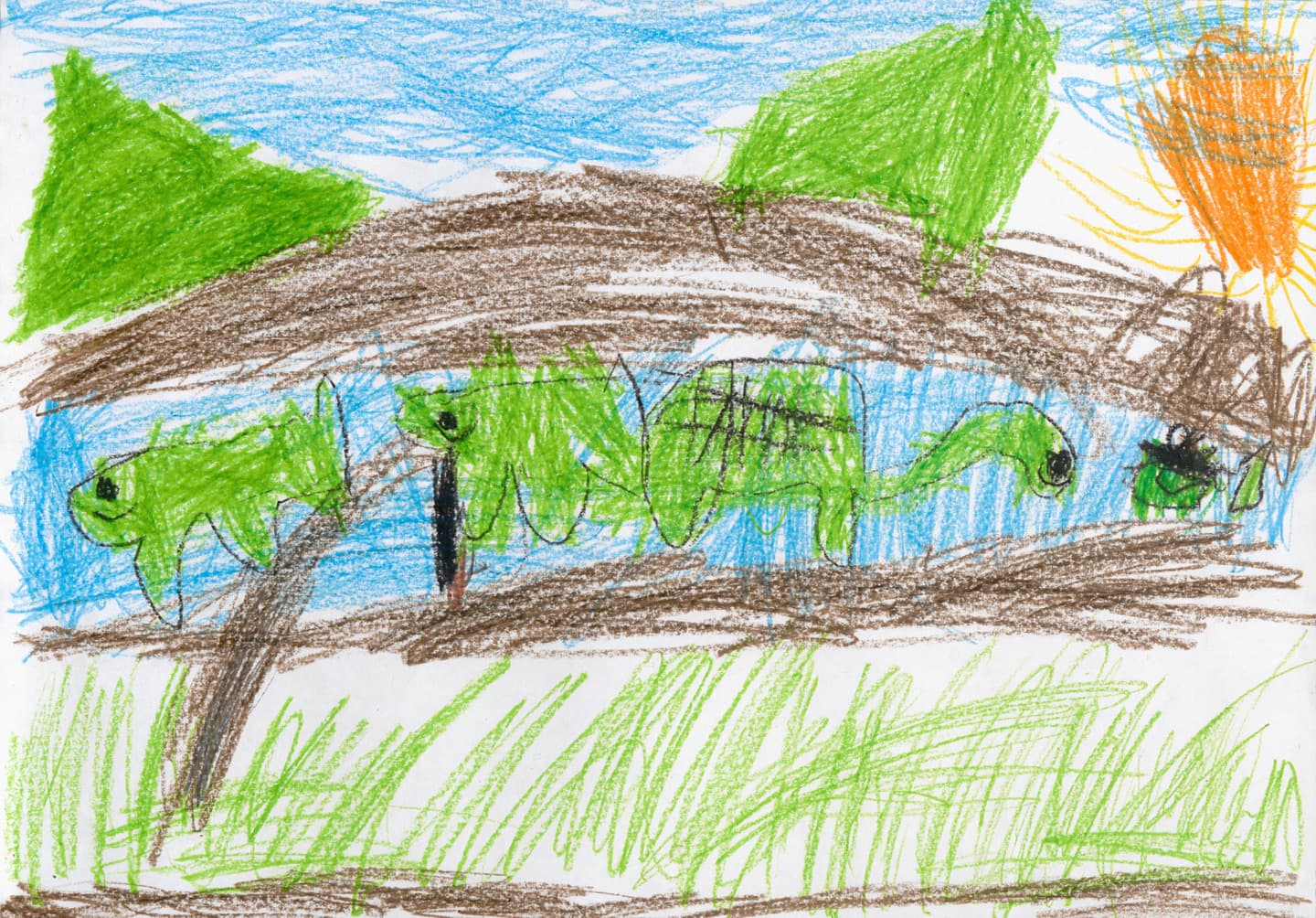 宮和田小学校1年 マクファーソン　ロナルド　前 （まくふぁーそん　ろなるど　まえ）